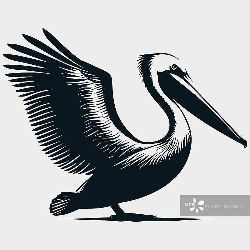 路易斯安那州鹈鹕日落剪影文件图片素材