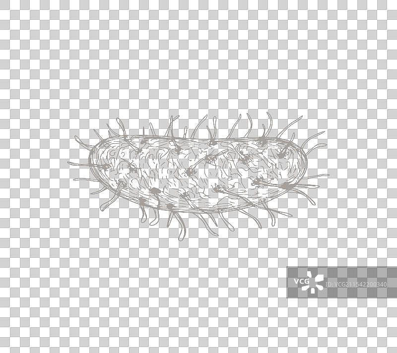 奇幻的微生物图片素材