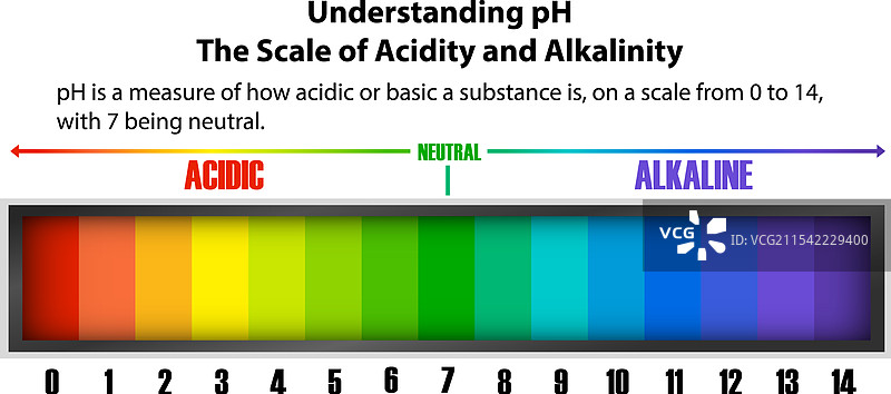 酸碱度水平的视觉指南图片素材