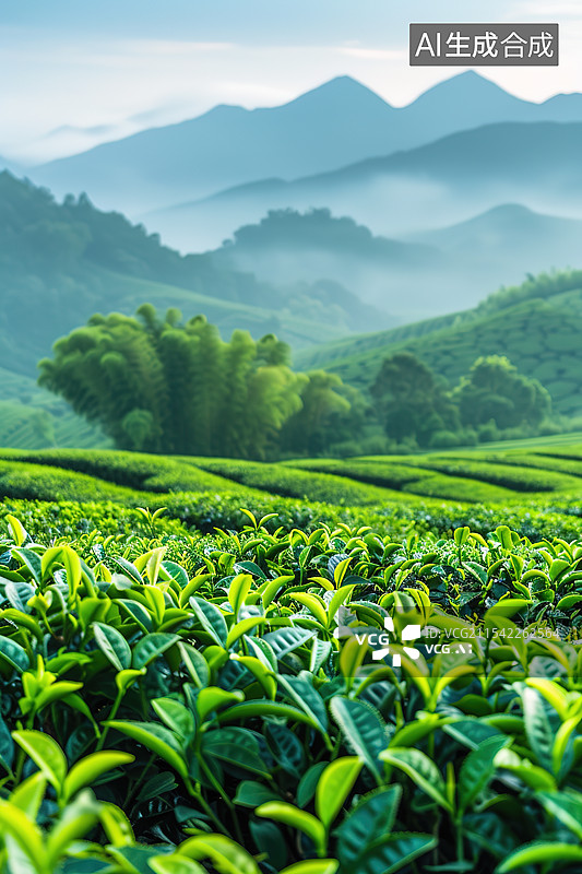 【AI数字艺术】茶园风景和茶树茶叶特写图片素材