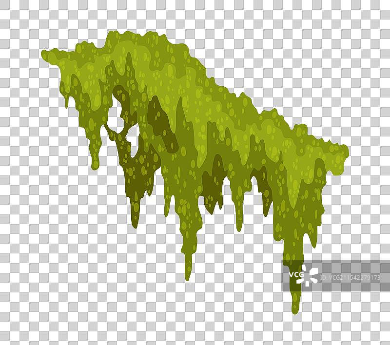 卡通丛林苔藓形状绿色沼泽苔藓图片素材