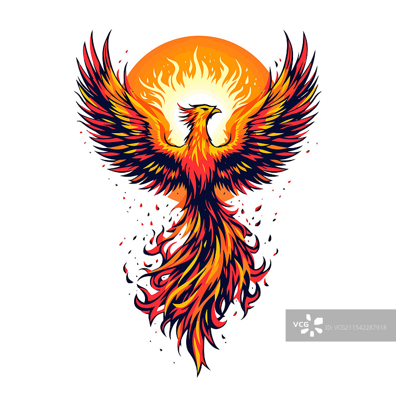 凤凰 凤凰 凤凰 凤凰 凤凰 凤凰图片素材