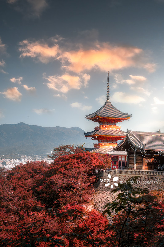 京都清水寺红叶图片素材