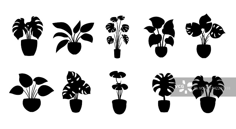 黑色植物盆栽轮廓套装图片素材