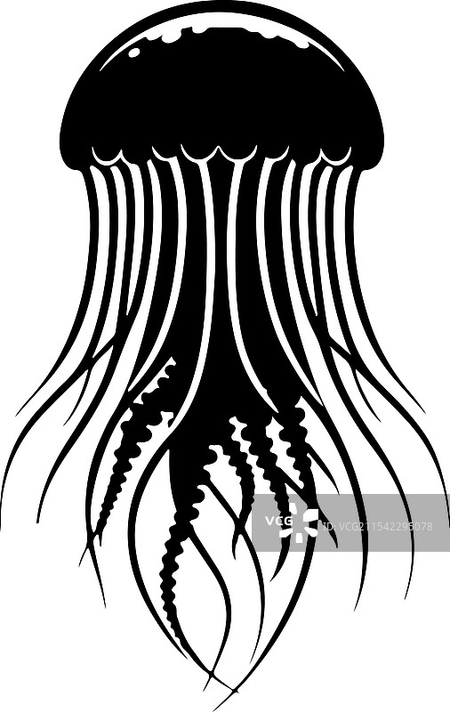 优雅的水母图片素材