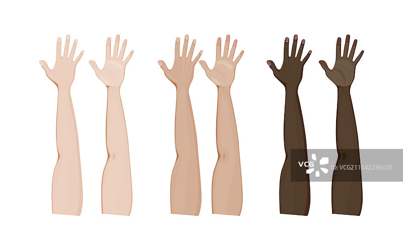 手臂的正面和掌侧图片素材