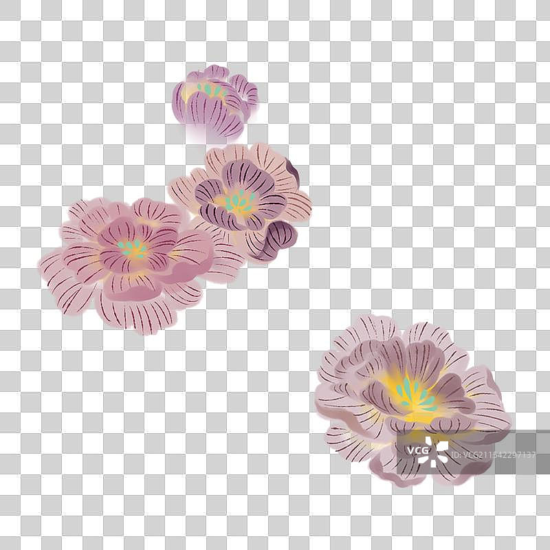 芙蓉花朵元素图片素材