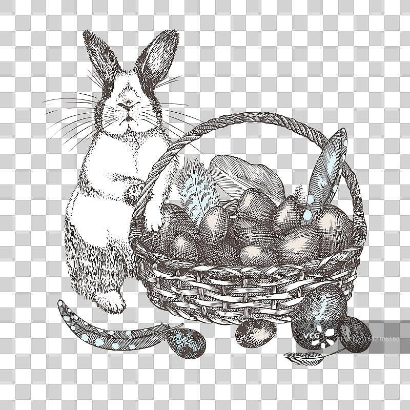 手绘的鸟蛋柳条篮子图片素材