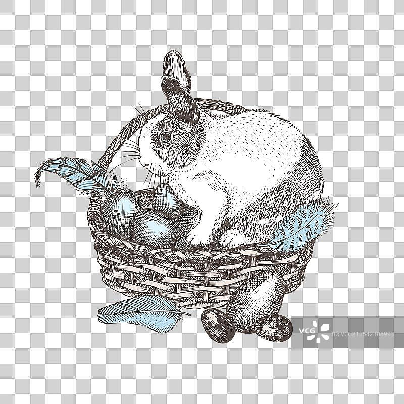 手绘的鸟蛋柳条篮子图片素材