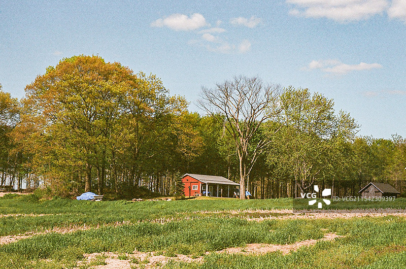 美国马萨诸塞州阿默斯特夏季景色图片素材