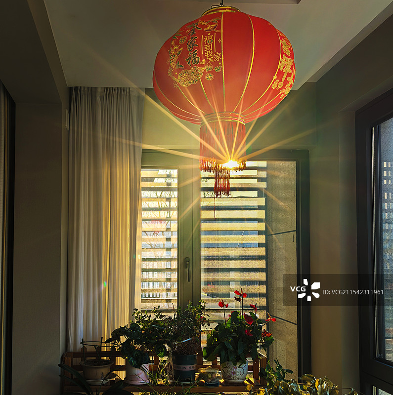 星芒红灯情图片素材