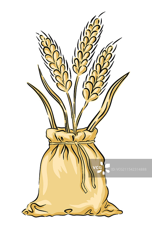 手绘素描的麻布袋，里面装着图片素材