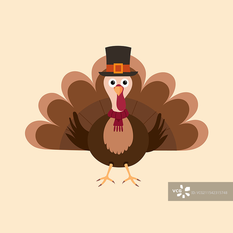 感恩节庆祝活动中的火鸡鸟图片素材