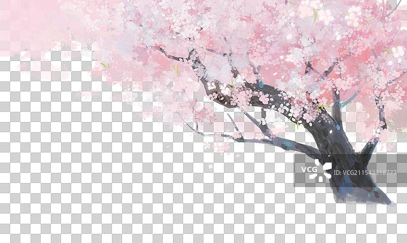 一棵开满花的树图片素材