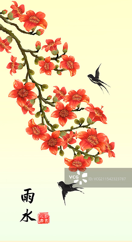 二十四节气雨水花卉 - 木棉花 插画海报图片素材