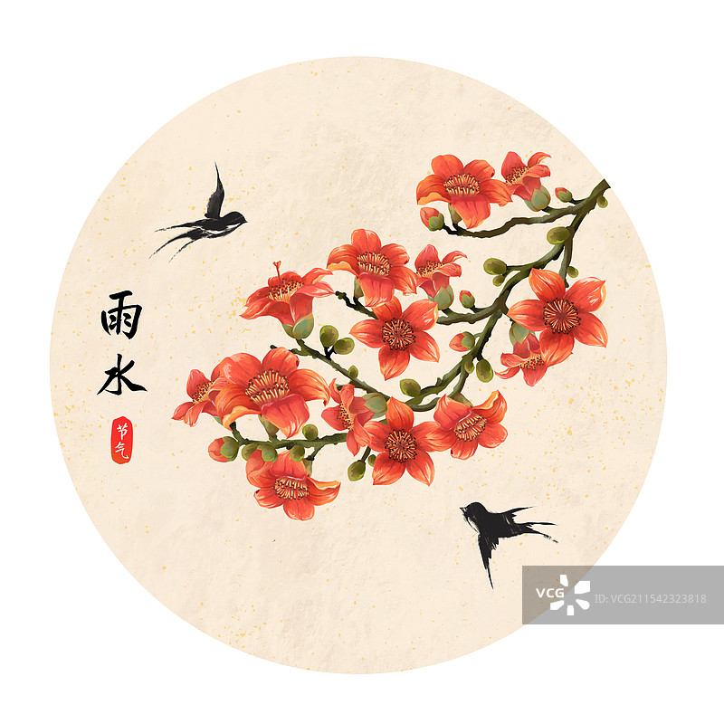 二十四节气雨水花卉 - 木棉花 插画海报图片素材