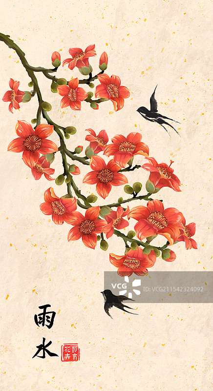 二十四节气雨水花卉 - 木棉花 插画海报图片素材
