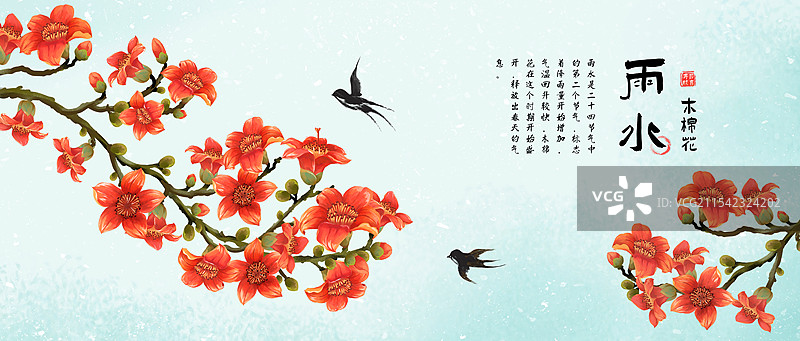 二十四节气雨水花卉 - 木棉花 插画海报图片素材