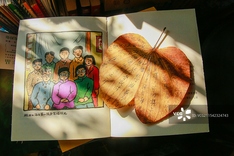 树叶书签与光影图片素材