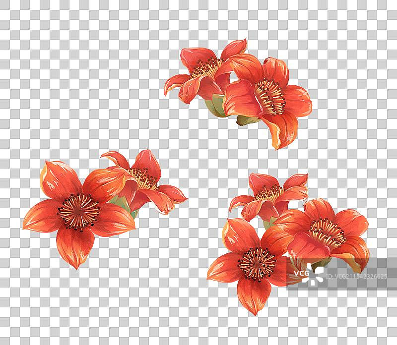 二十四节气雨水花卉 - 木棉花 插画元素图片素材