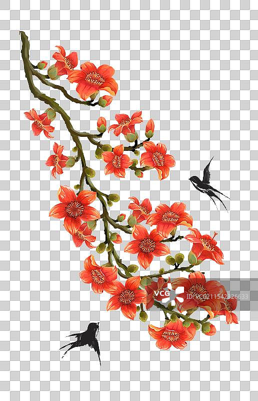 二十四节气雨水花卉 - 木棉花 插画元素图片素材