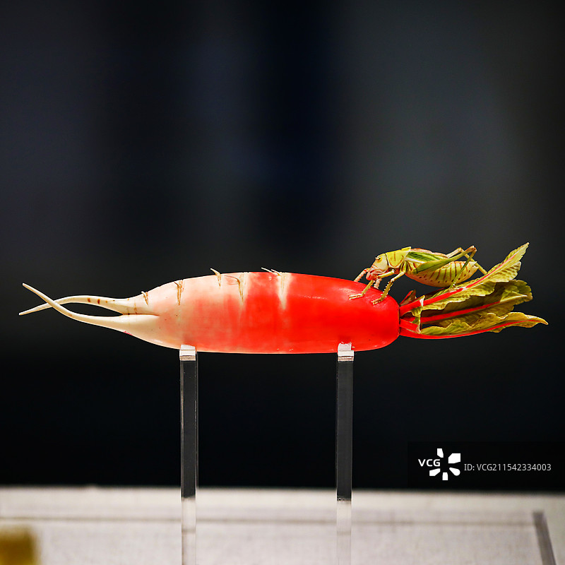 象牙萝卜 河南博物院 象牙雕刻的萝卜图片素材