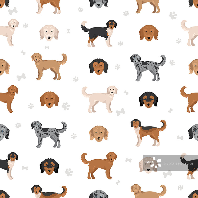 粗毛牧羊犬和贵宾犬混合的无缝图案图片素材