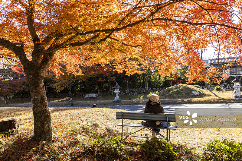 比睿山街景图片素材