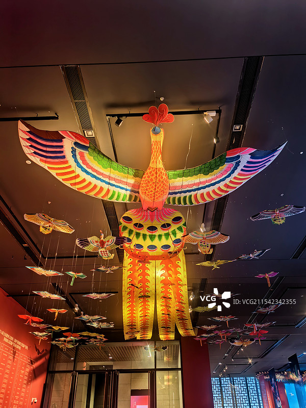 悬挂的凤凰低角度视图图片素材