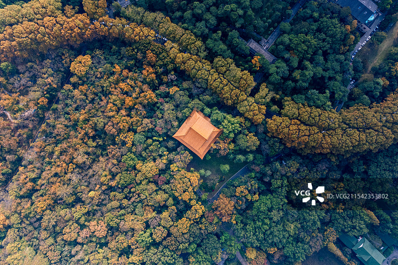 秋意浓浓的俯瞰南京四方城风景图片素材