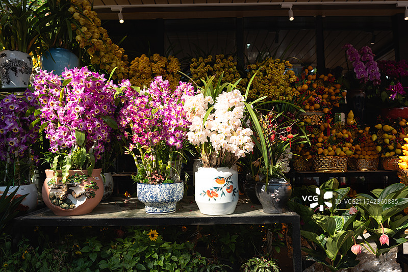 花店里长在花盆的鲜花图片素材