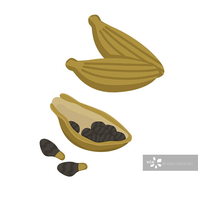 带有种子的豆蔻香料标志组合图片素材