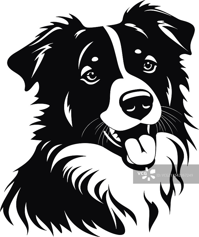 澳大利亚牧羊犬剪影，白色背景图片素材