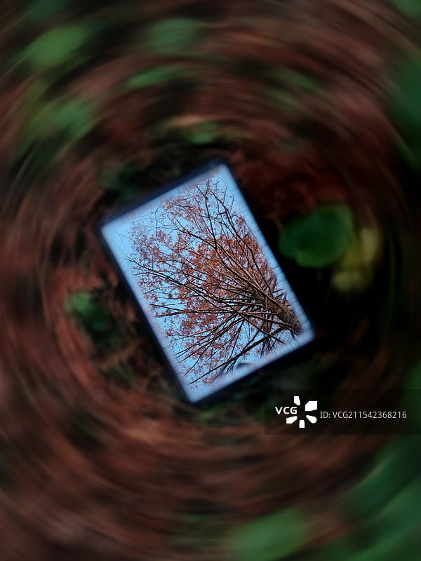 镜中的风景图片素材