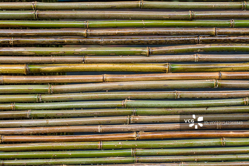 竹篱笆墙图片素材
