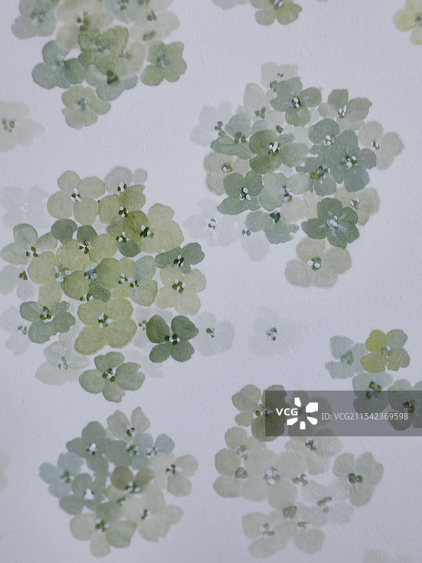 手绘图摄影图片素材