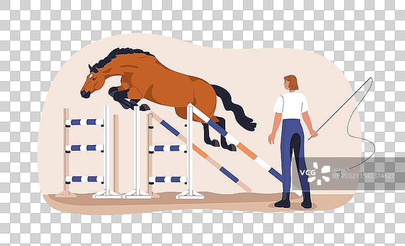 马匹跳过障碍的专业驯马师图片素材