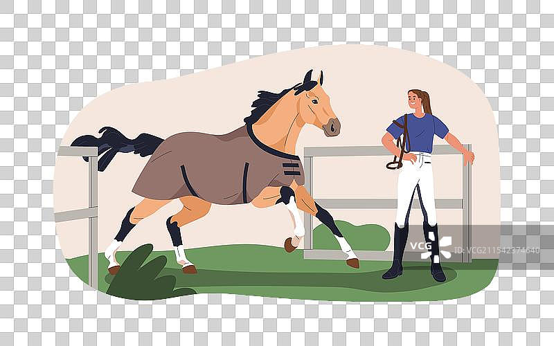 马场训练中的女性教练正在驯马图片素材