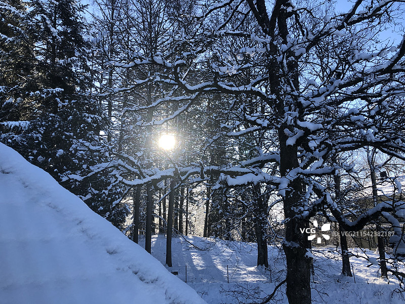 赫尔辛基圣诞集市图片素材