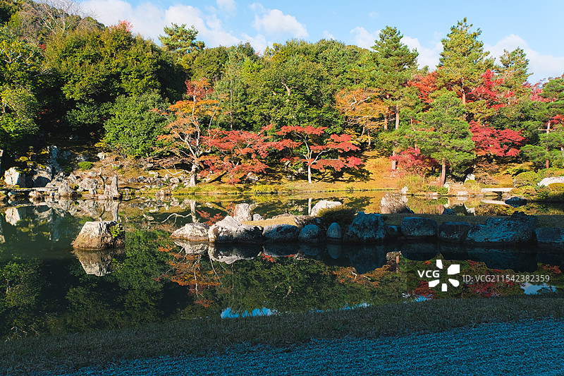 秋天红叶季的日本京都岚山天龙寺的红色枫叶与日式园林庭院图片素材