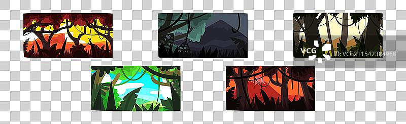 茂密树木的丛林和雨林图片素材