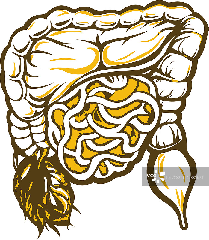 肠腺的复古风格图片素材