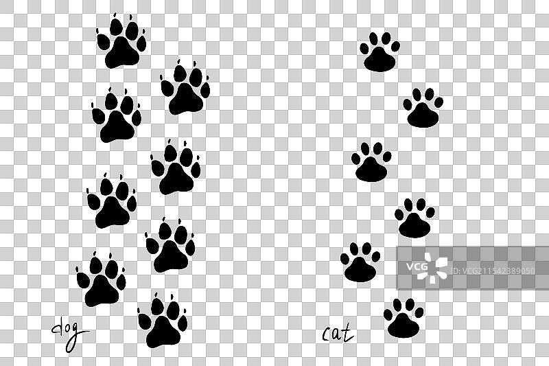猫和狗的爪印动物足迹图案图片素材