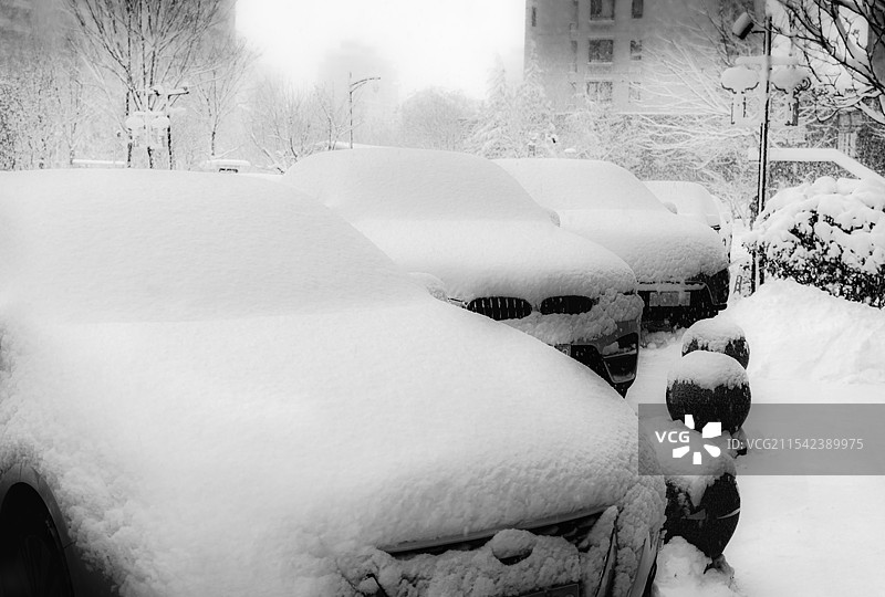 雪的情怀1图片素材