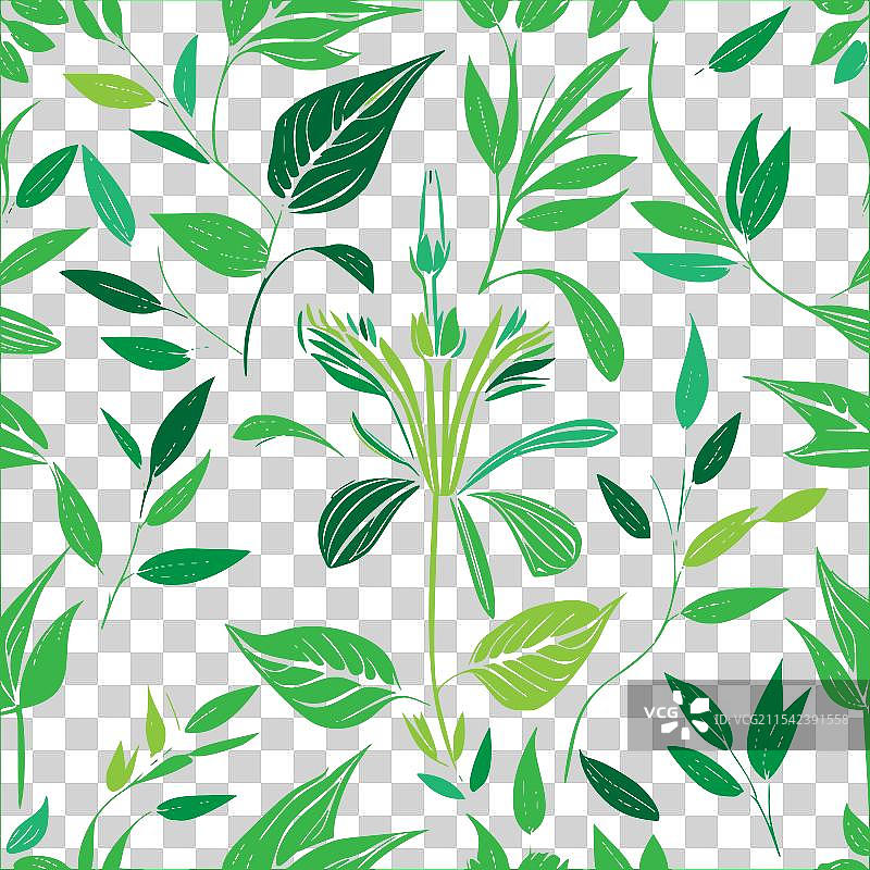 紫菀花图案抽象无缝色彩图片素材