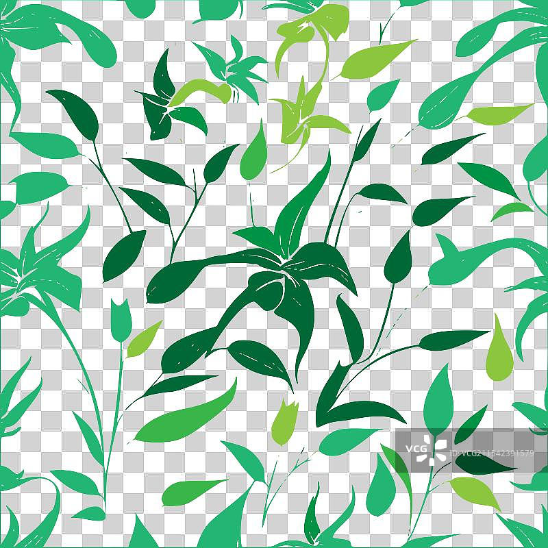 紫菀花图案抽象无缝色彩图片素材