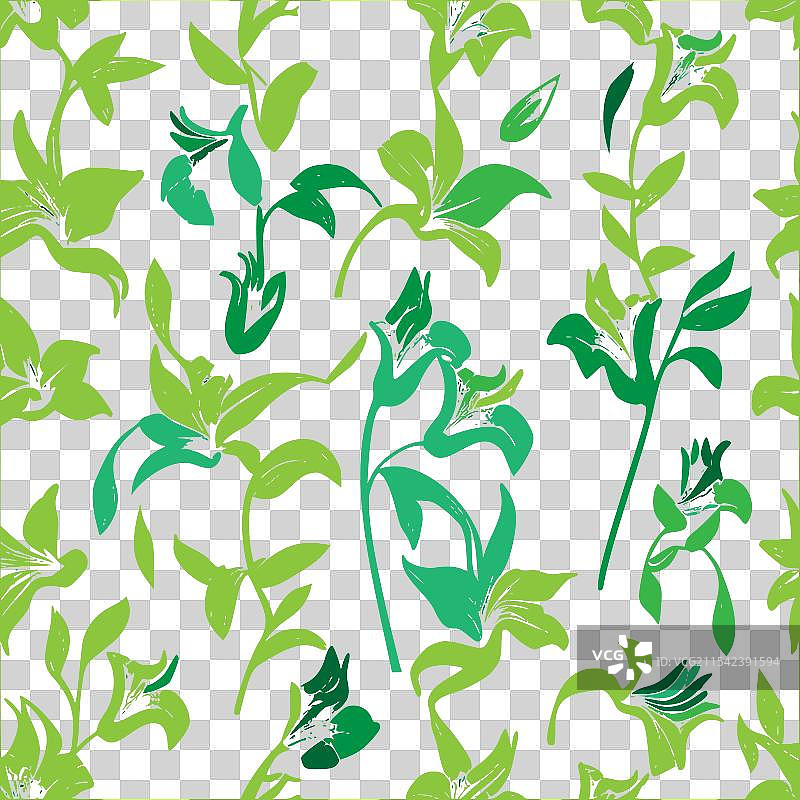 紫菀花图案抽象无缝色彩图片素材