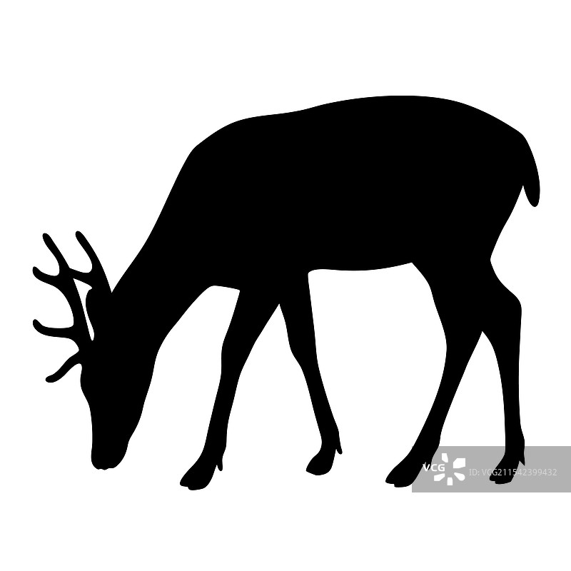 剪影中的鹿在觅食，适合自然类库存图片图片素材