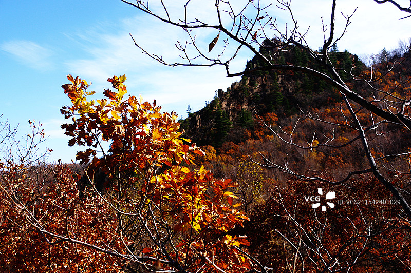 黑龙江汤原县鹰山风光图片素材