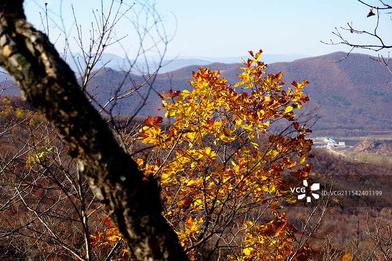黑龙江汤原县鹰山风光图片素材